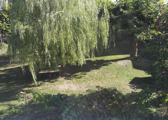 Vie Et Passion Elsenheim